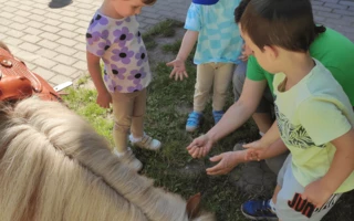 Gyermeknap a Kuckó Bölcsődében és a Babóca Mini Bölcsődéb...