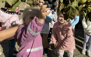 Őszi mulatság a Meseház Bölcsődében 2024.