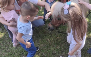 Gyermeknap a Kuckó Bölcsődében és a Babóca Mini Bölcsődéb...