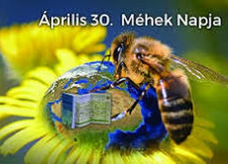 Méhek Napja a Bokréta Bölcsődében 2024.