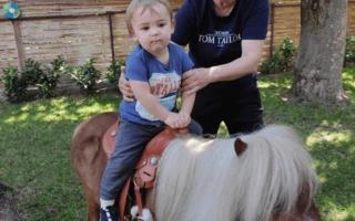 Gyermeknap a Kuckó Bölcsődében és a Babóca Mini Bölcsődéb...