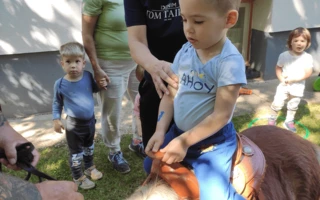 Gyermeknap a Kuckó Bölcsődében és a Babóca Mini Bölcsődéb...